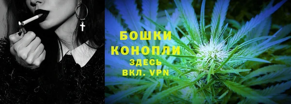 индика Дмитровск