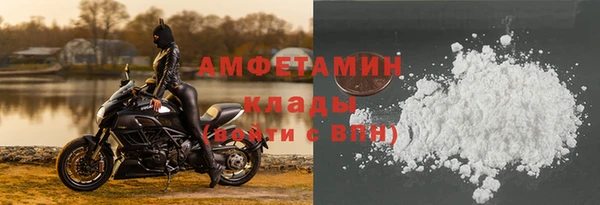 индика Дмитровск