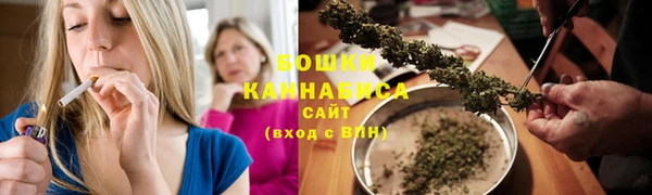 спиды Дмитриев