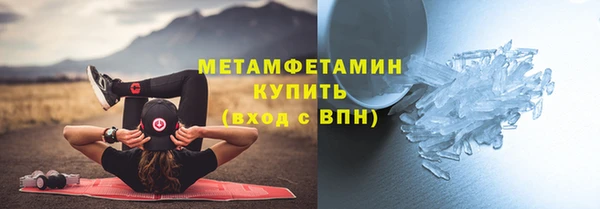 индика Дмитровск