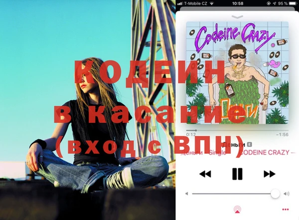 индика Дмитровск
