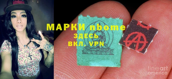 индика Дмитровск