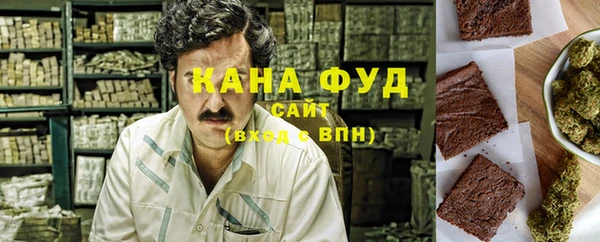 индика Дмитровск