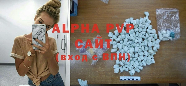 индика Дмитровск