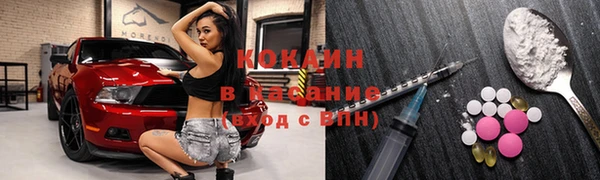 индика Дмитровск