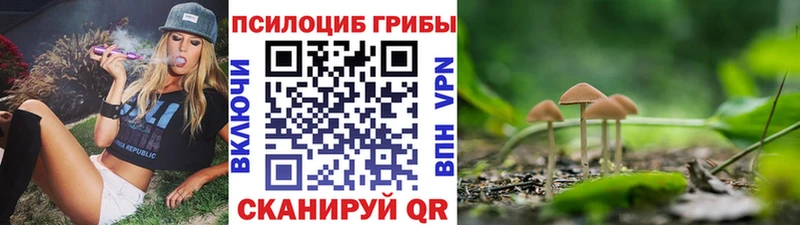 Купить закладки  Аша  Галлюциногенные грибы мицелий 